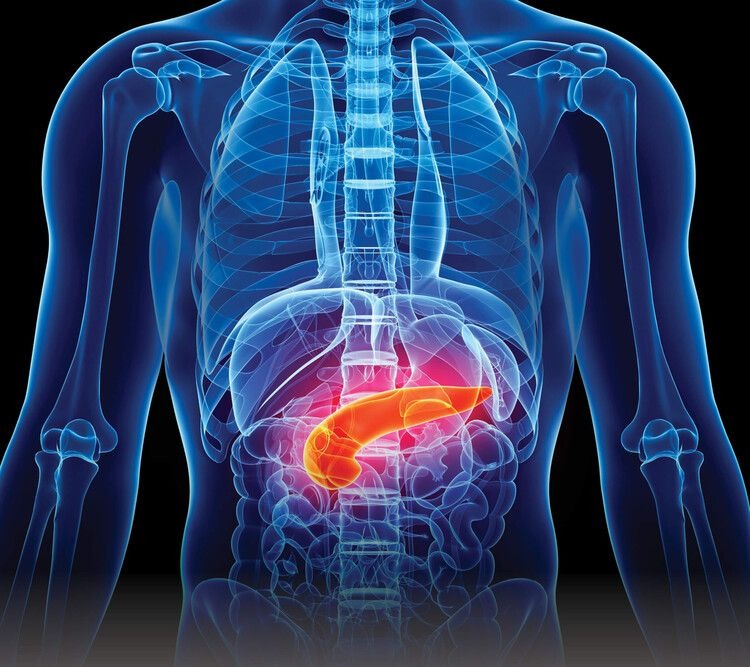 An image of the pancreas, responsible for regulating blood sugar