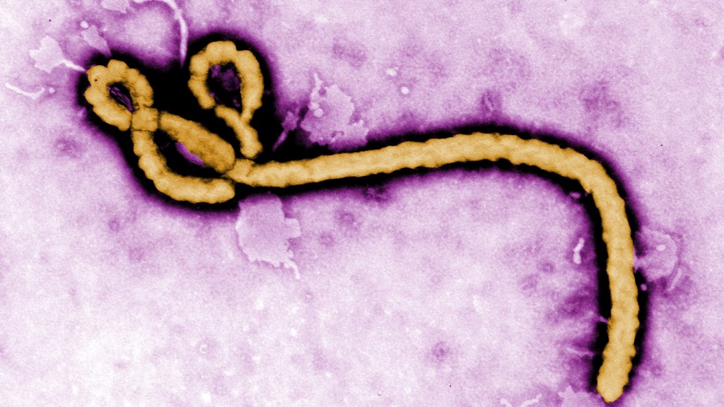 Breakdown of Africa’s Ebola Response Budget of US$517.7 Million